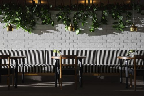 A Delicious Evolution