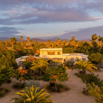 Arid Paradise